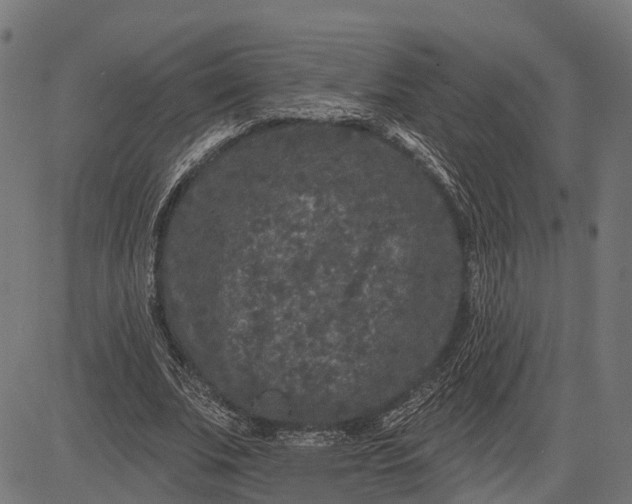 X0000082710679200702091748