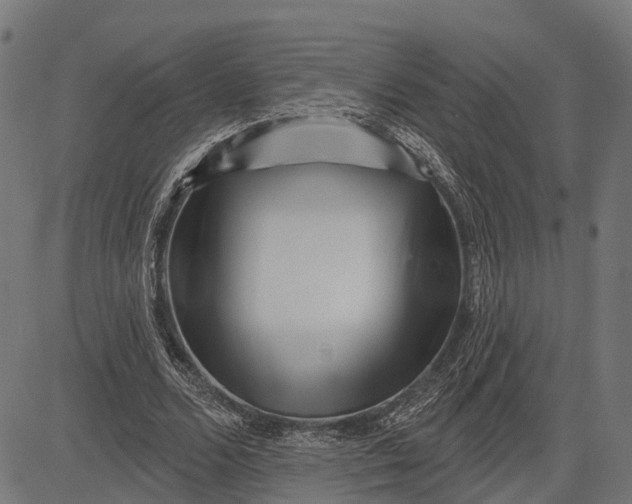 X0000082710680200702091748