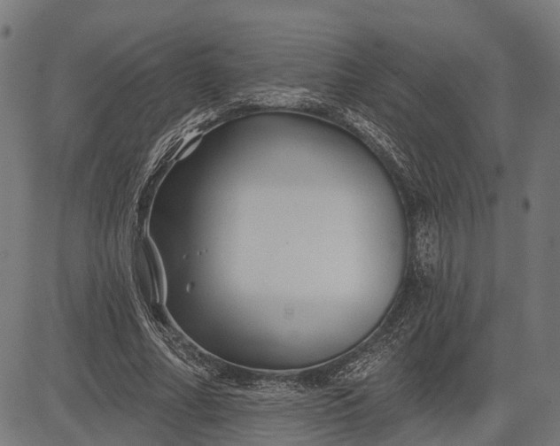 X0000082710682200702091748