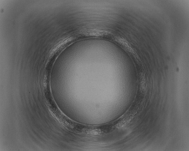 X0000082710683200702091748