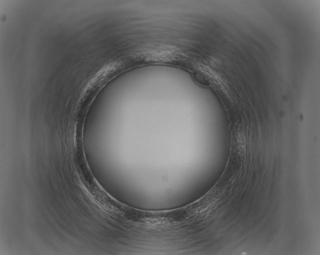 X0000082710686200702091748