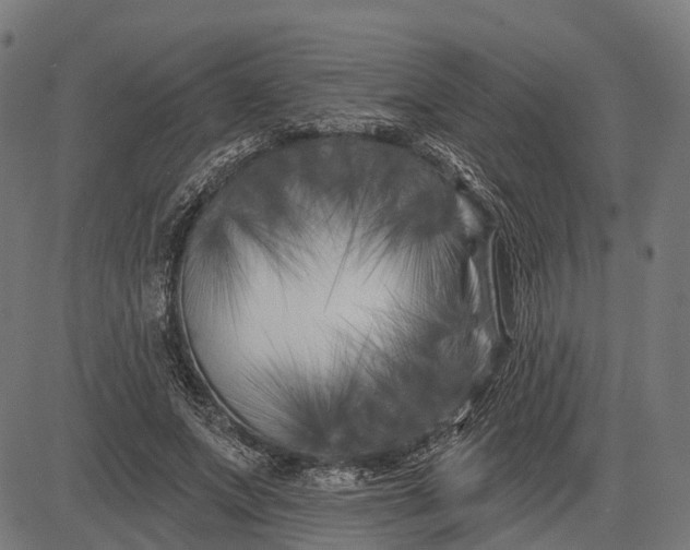 X0000082710687200702091748