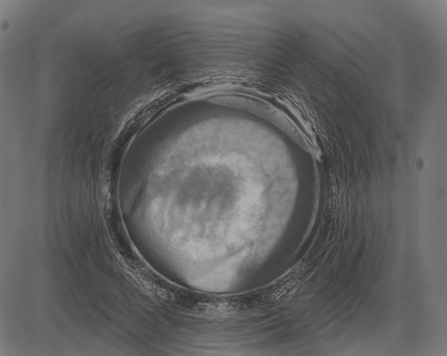 X0000082710688200702091748