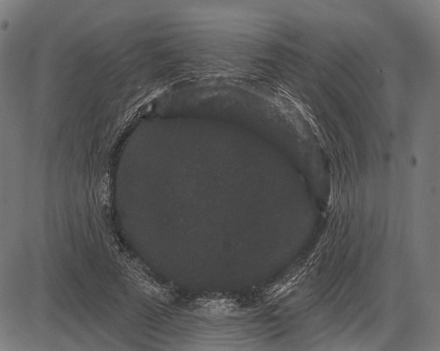 X0000082710689200702091748