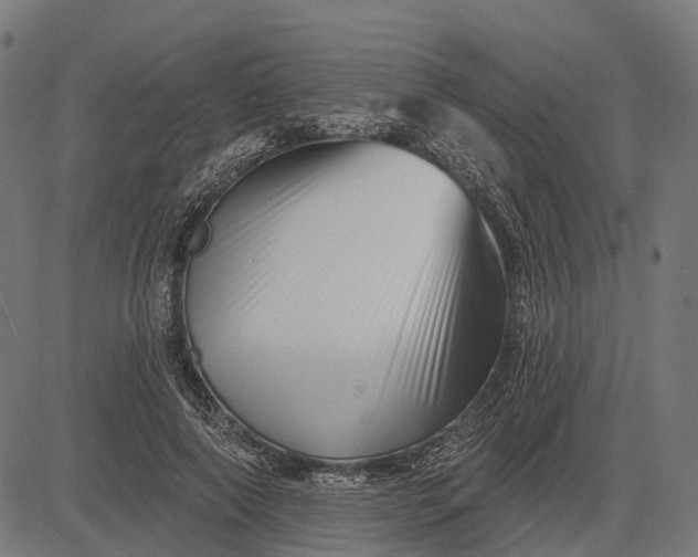 X0000082710690200702091748