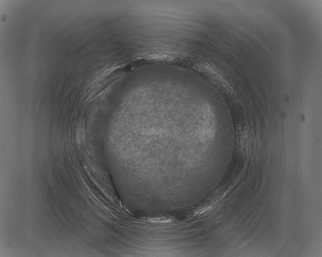 X0000082710692200702091748