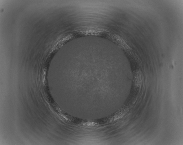 X0000082710695200702091748