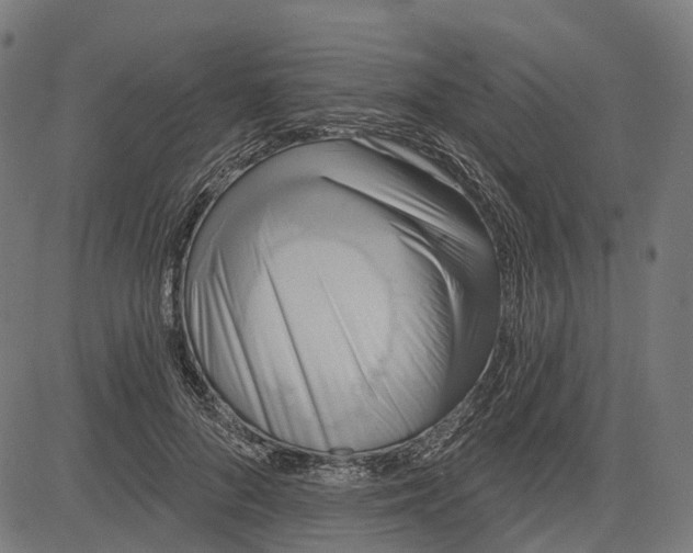 X0000082710696200702091748