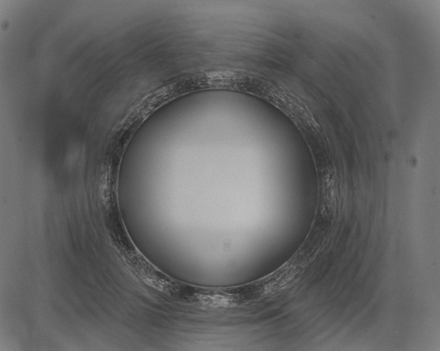 X0000082710698200702091748