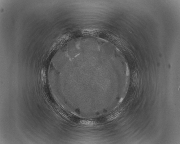 X0000082710699200702091748