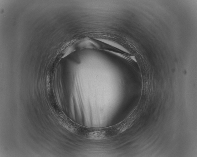 X0000082710700200702091748