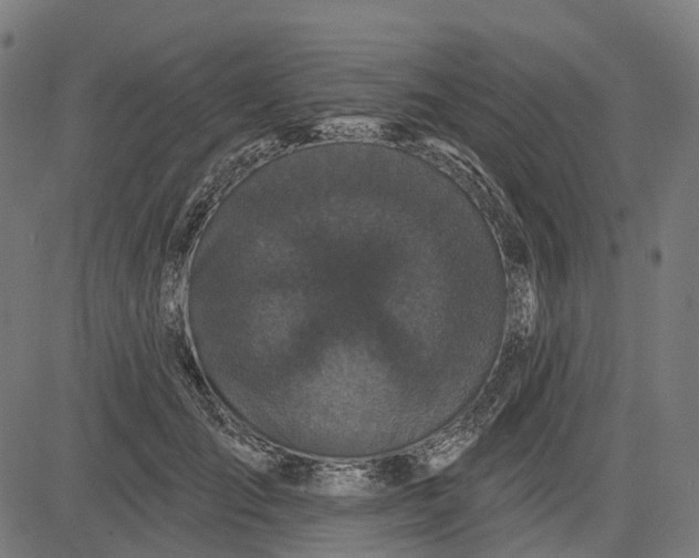 X0000082710701200702091748