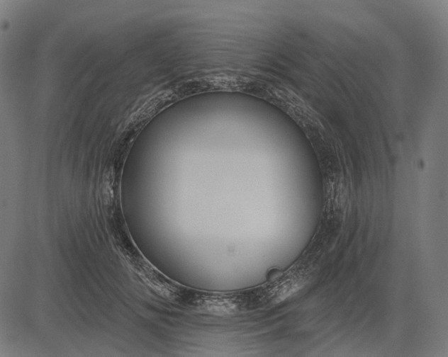 X0000082710702200702091748