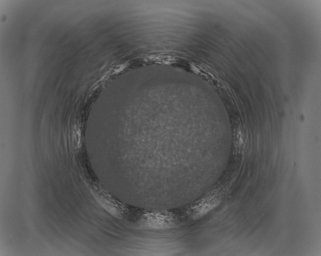 X0000082710703200702091748