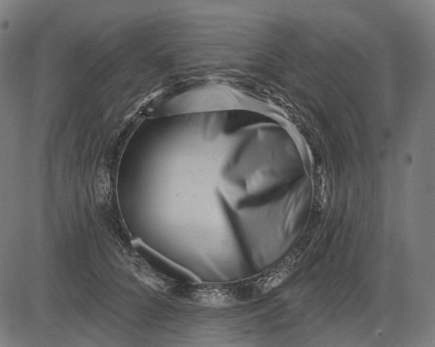 X0000082710704200702091748