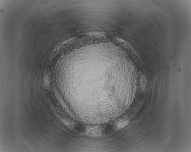 X0000082710705200702091748