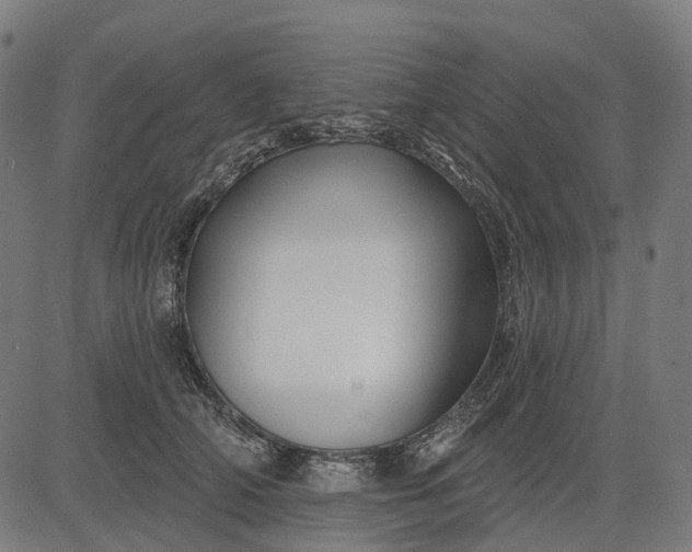 X0000082710706200702091748