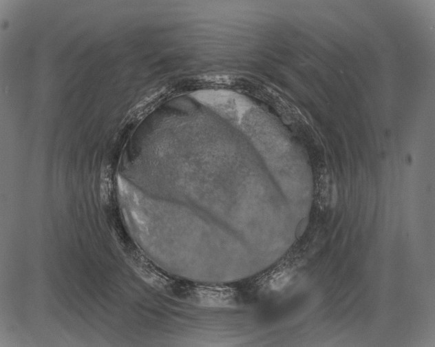 X0000082710707200702091748