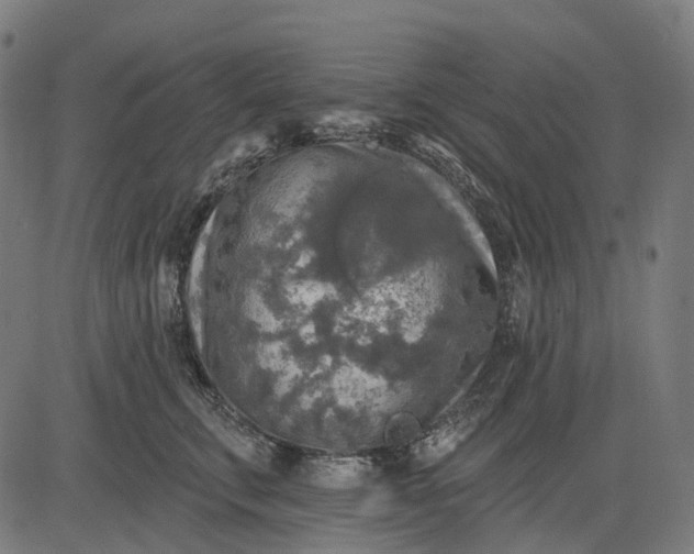 X0000082710711200702091747