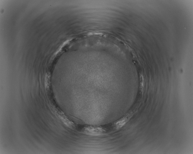 X0000082710712200702091747