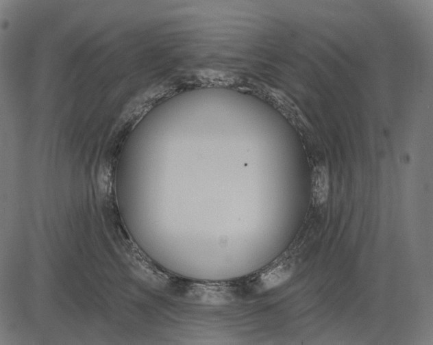 X0000082710713200702091747