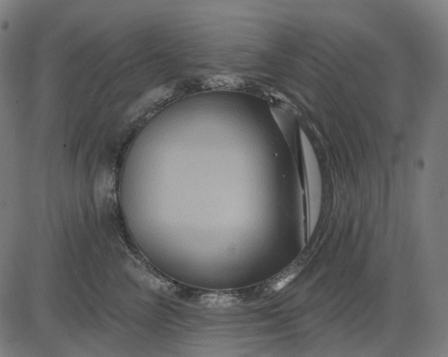 X0000082710714200702091747