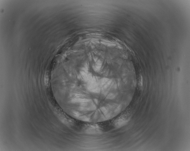 X0000082710715200702091747