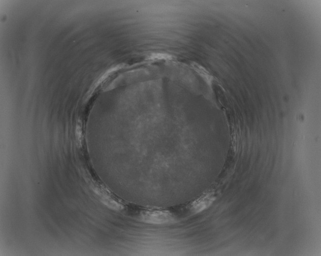 X0000082710716200702091747