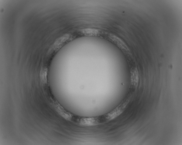 X0000082710717200702091747