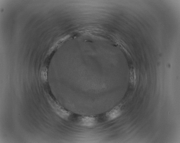 X0000082710718200702091747