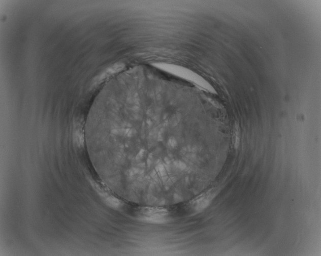 X0000082710719200702091747