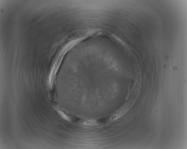 X0000082710720200702091747