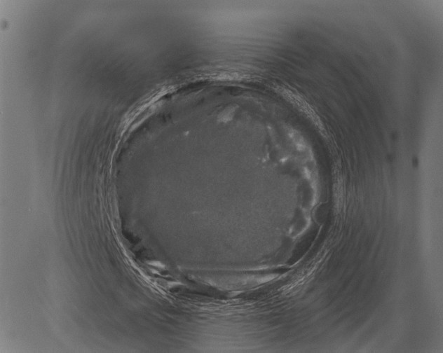 X0000082710721200702091747