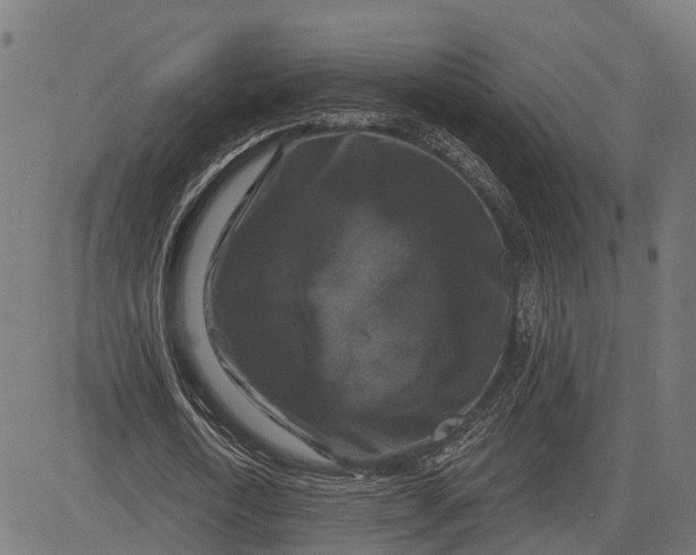 X0000082710722200702091747