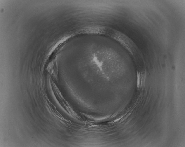 X0000082710723200702091747