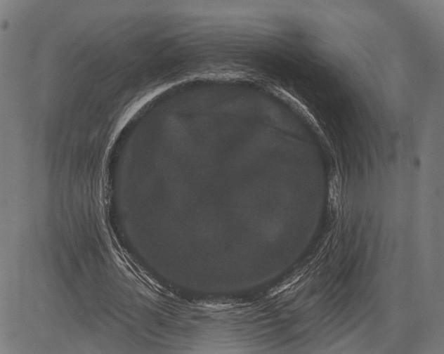 X0000082710724200702091747