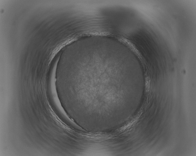 X0000082710725200702091747