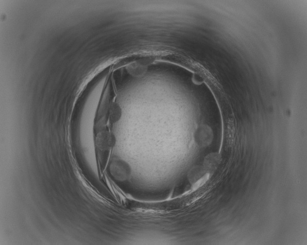 X0000082710726200702091747