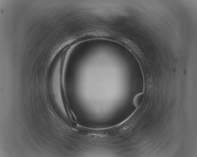 X0000082710727200702091747