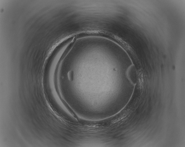 X0000082710728200702091747