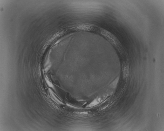 X0000082710729200702091747