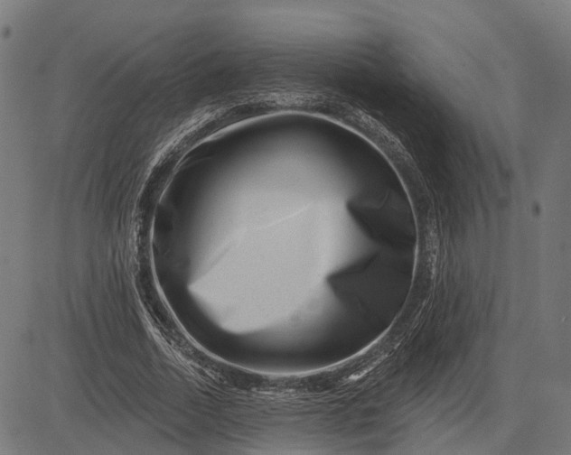 X0000082710730200702091747