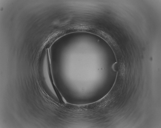 X0000082710731200702091747