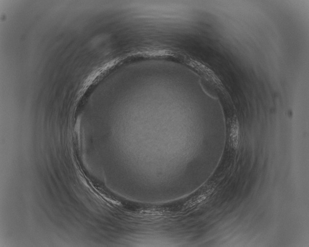 X0000082710732200702091747