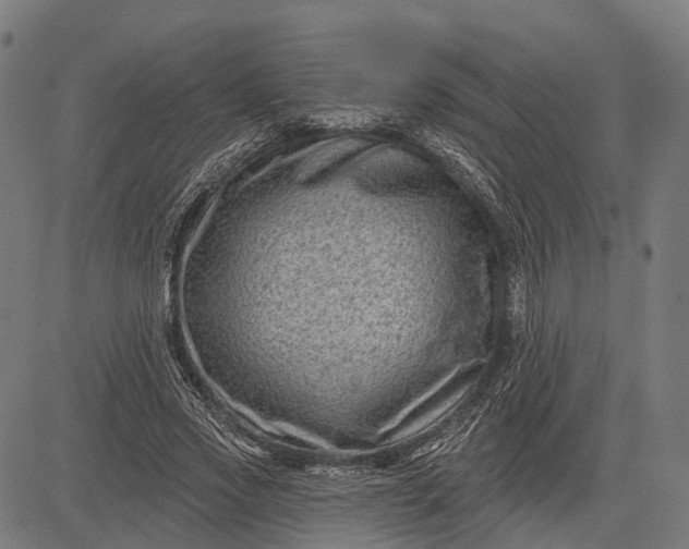 X0000082710733200702091747