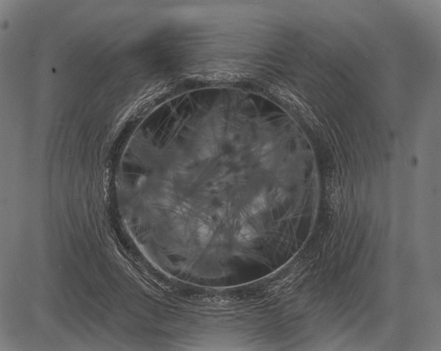 X0000082710735200702091747