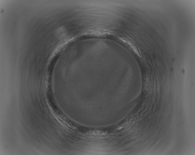 X0000082710736200702091747