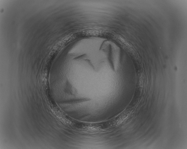 X0000082710737200702091747