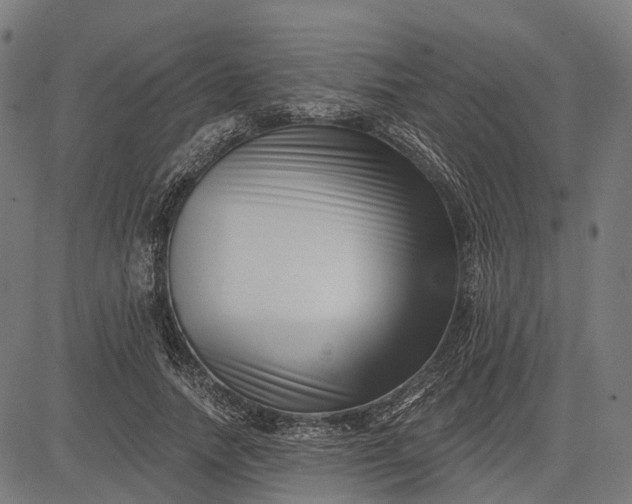 X0000082710738200702091747