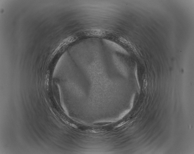 X0000082710739200702091747